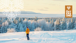 skidåkare i vintrigt landskap, fjällen i horisonten