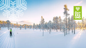 skidåkare i svartsjöarna