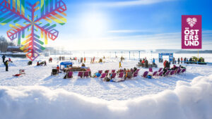 snöplayan i vinterparken
