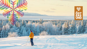 längskidåkare i vintrig vy med fjällen i horisonten