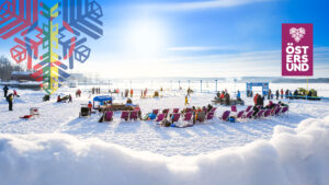 snöplayan i vinterparken