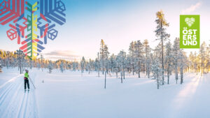 längskidåkare vid svartsjöarna