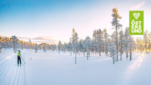 Längskidåkare vid Svartsjöarna