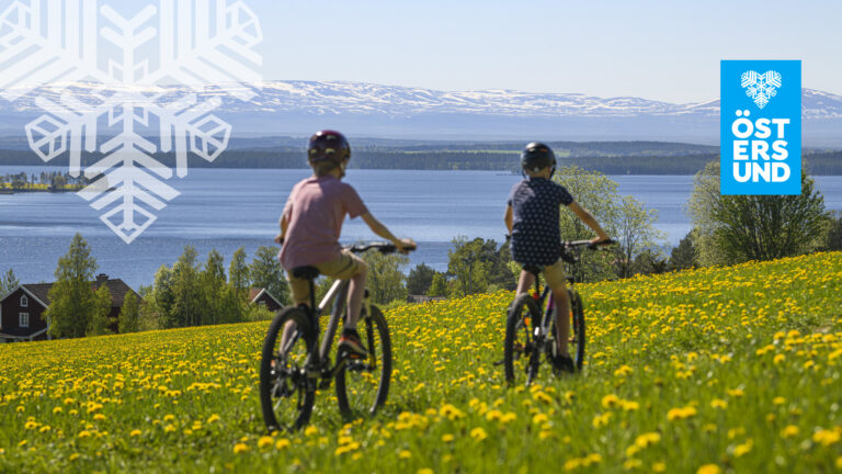 Två barn cyklar på en äng med gula maskrosor. I bakgrunden syns fjällen.