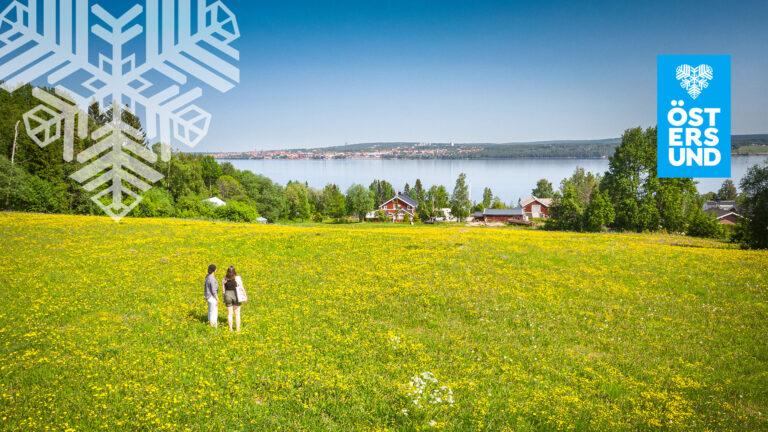 Två tjejer står på en maskrosfylld äng och tittar mot Östersund i fjärran.