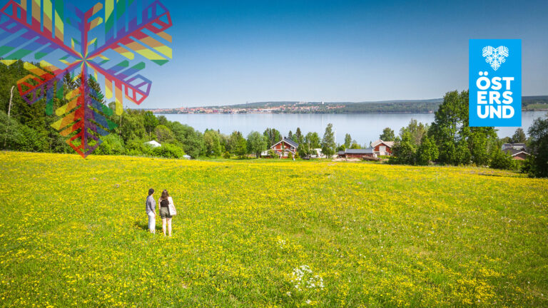 Två tjejer står på en maskrosfylld äng och tittar mot Östersund i fjärran.