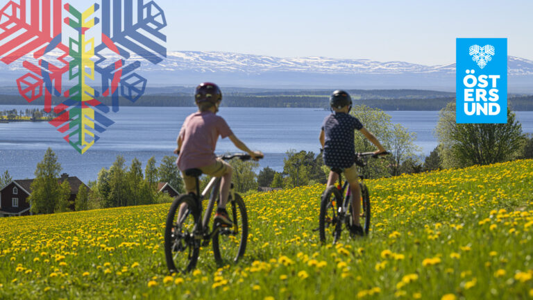 Två barn cyklar på en äng med gula maskrosor. I bakgrunden syns fjällen.