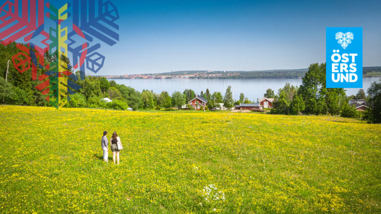 Två tjejer står på en maskrosfylld äng och tittar mot Östersund i fjärran.