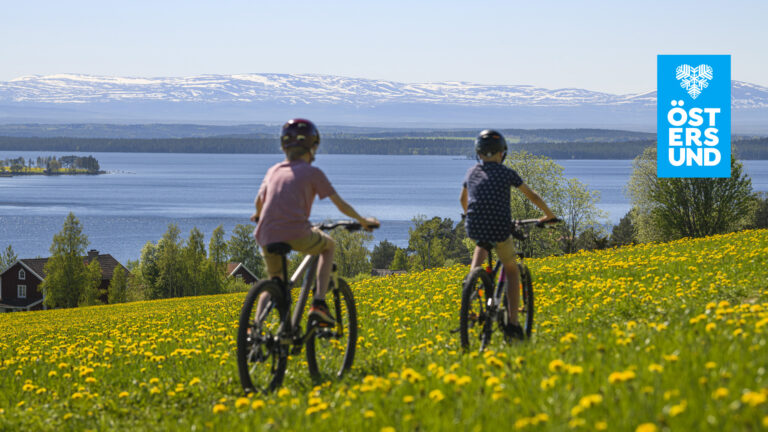 Två barn cyklar på en äng med gula maskrosor. I bakgrunden syns fjällen.
