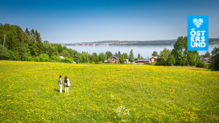 Två tjejer står på en maskrosfylld äng och tittar mot Östersund i fjärran.